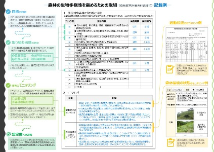 森林の生物多様性を高めるための取組