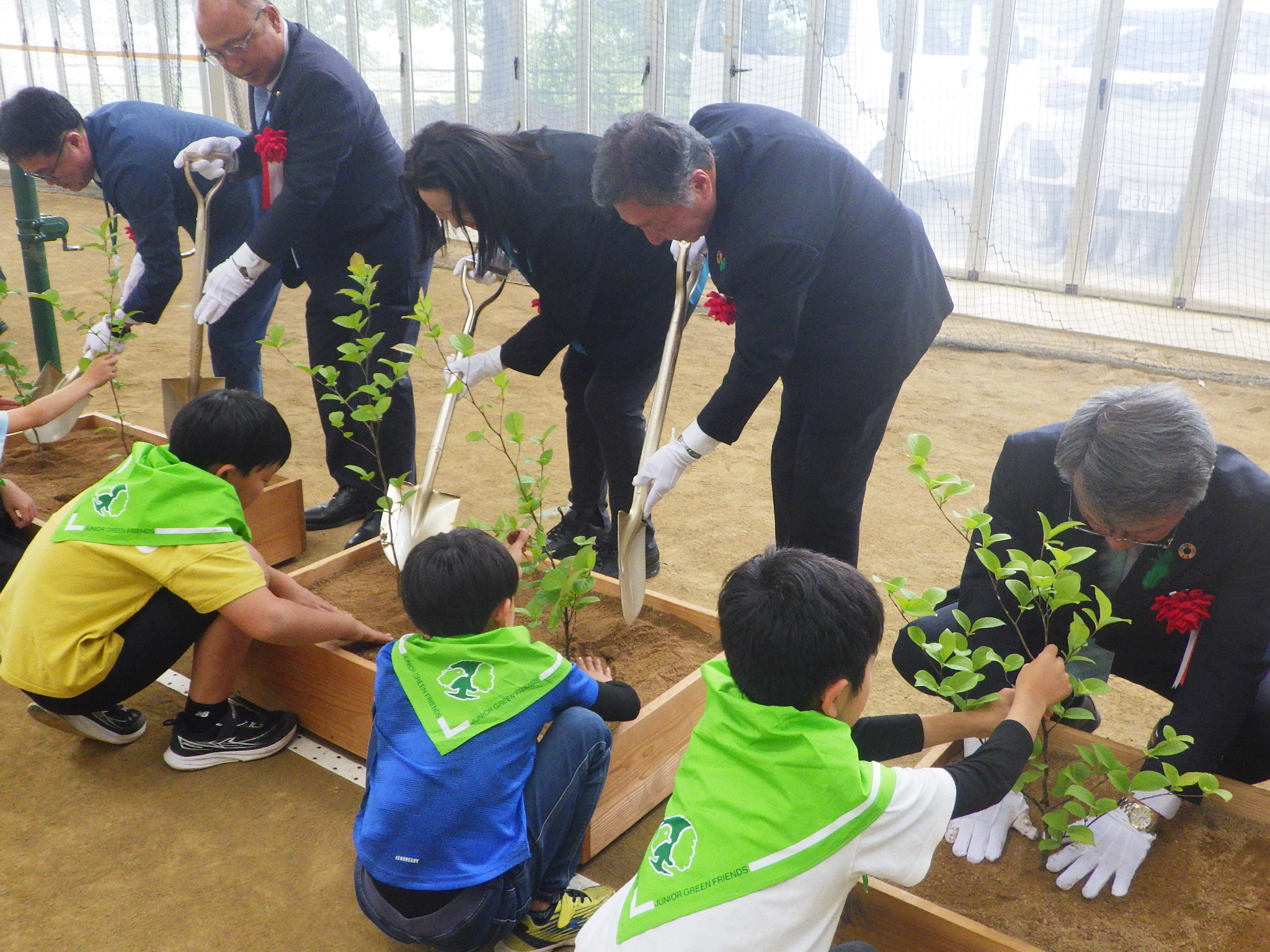 植樹の様子